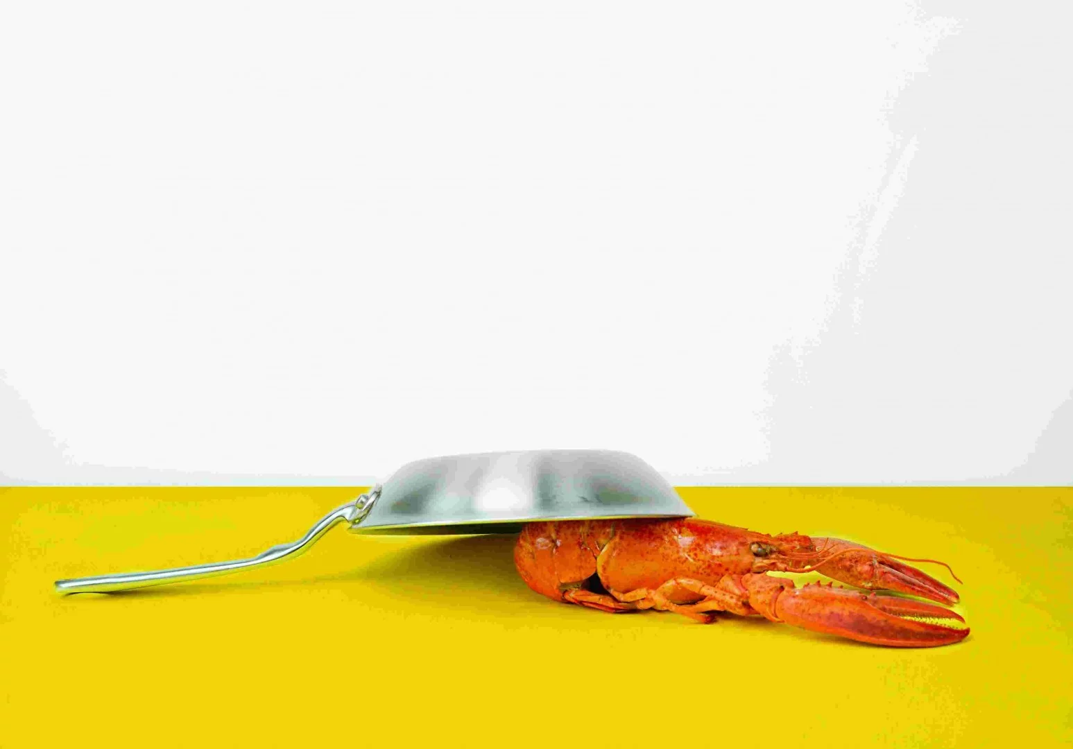 Homard pris au piège - cloud